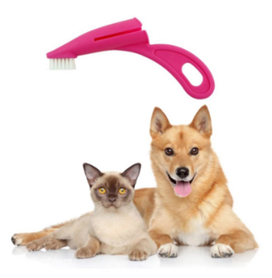 Tooth Beauty Cleaning Care Oral Tools Pet Supplies