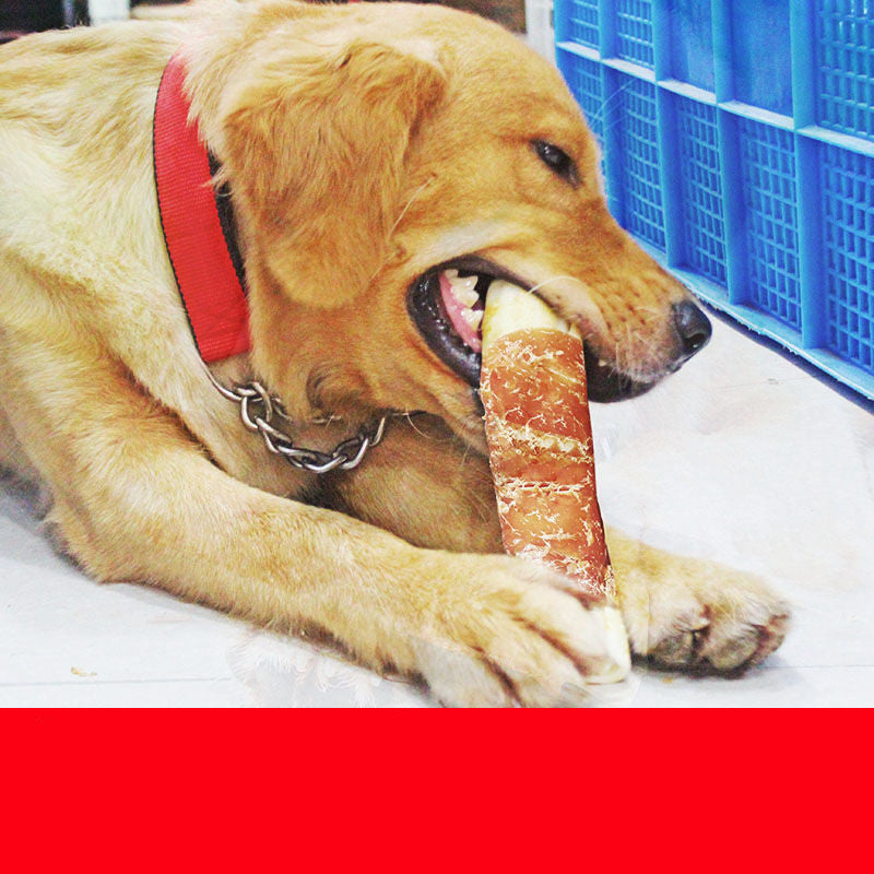 Dog teeth cleaning bones