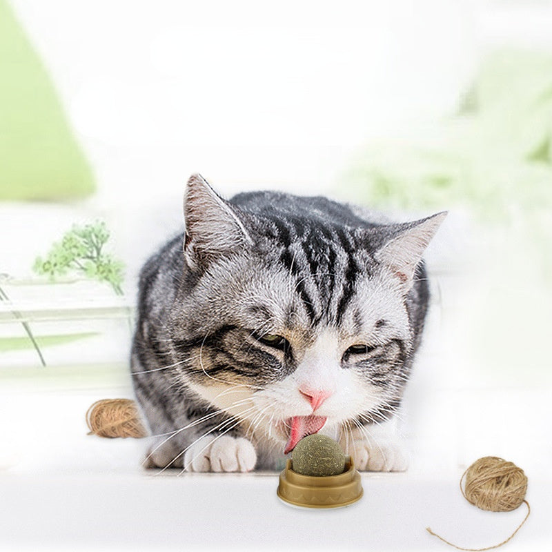 Catnip Balls Cat Treats Rotary Molar Teeth Cleaning