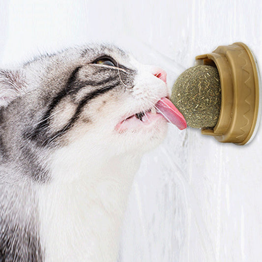 Catnip Balls Cat Treats Rotary Molar Teeth Cleaning