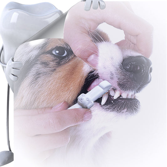 Pet Cleaning Teeth Cleaning Wipe Portable Tooth Cleaning Tool