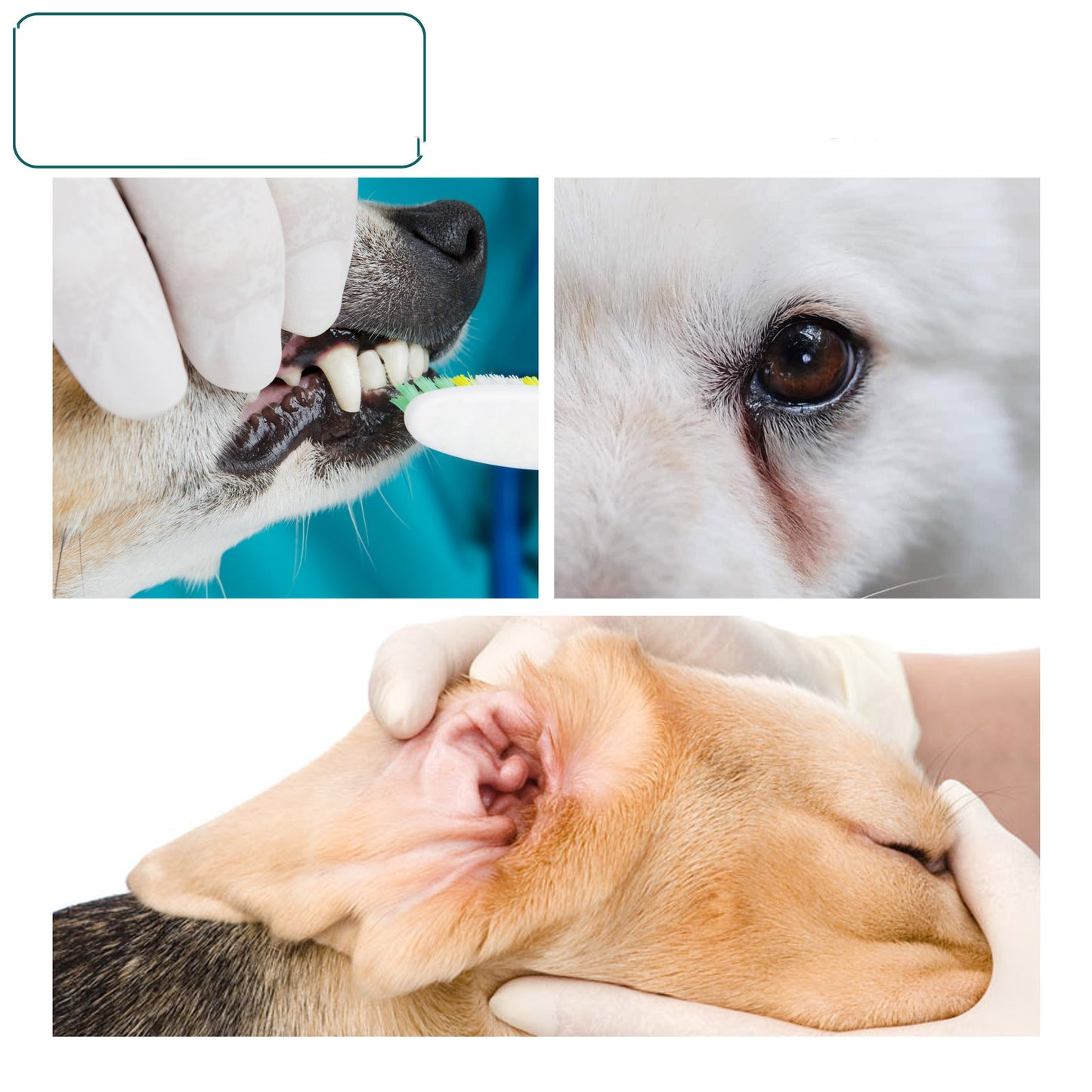 Pet Teeth Cleaning Wipes Dog Teeth Cleaning Cat